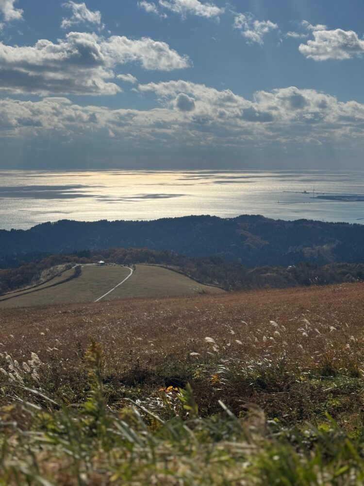 待ちに待った秋